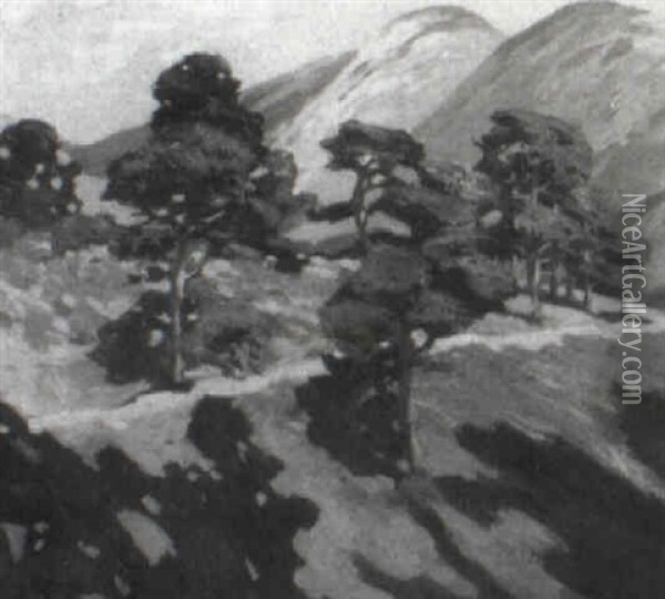 Sunlit Hillside Oil Painting - Mary Deneale Morgan