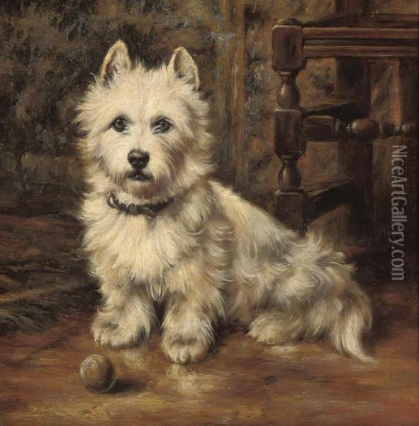 Waiting To Play, A Scottie With A Ball Oil Painting - Maud Earl
