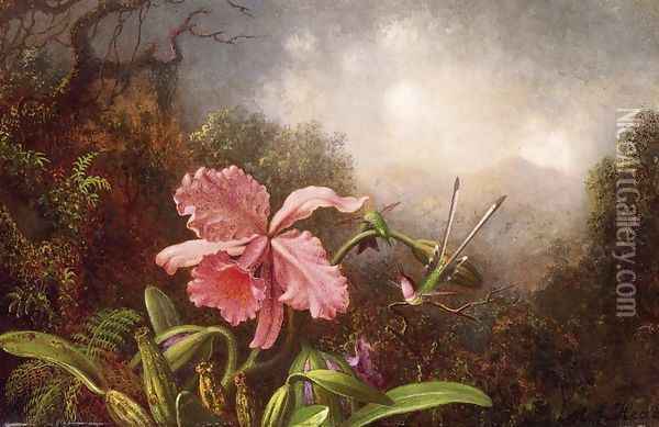 Two Hummingbirds By An Orchid Oil Painting - Martin Johnson Heade