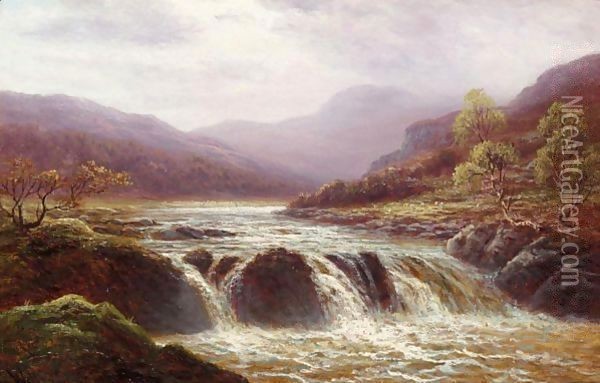 Falls On The Llugny, North Wales Oil Painting - William Mellor