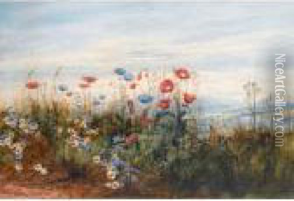 A Poppyfield With A View Of Doe Castle, Co.donegal Oil Painting - Andrew Nicholl