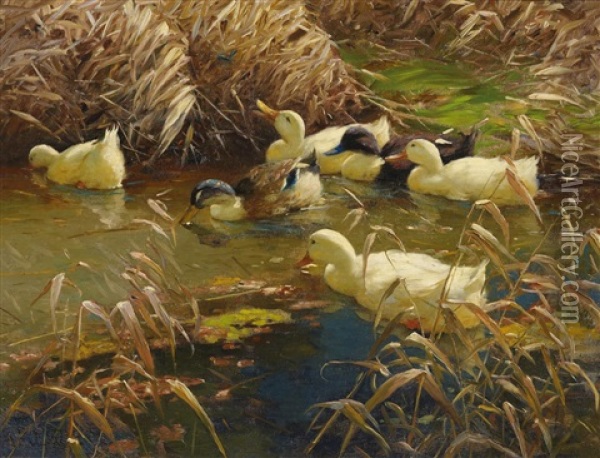 Enten Am Teich Oil Painting - Alexander Max Koester