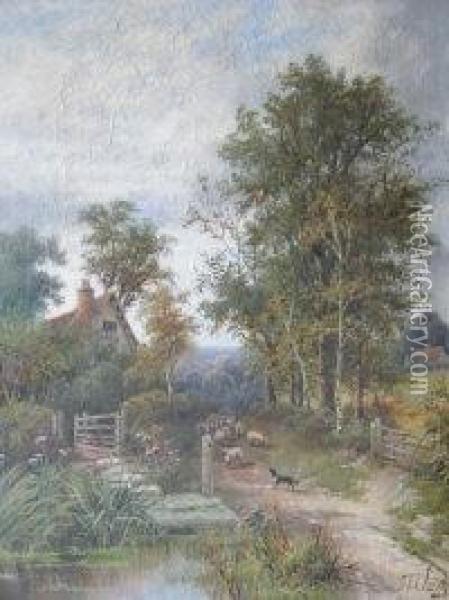 Driving Sheep In A Country Lane Oil Painting - Octavius Thomas Clark