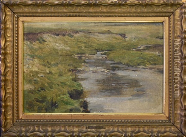 River Landscape Oil Painting - Jan Preisler