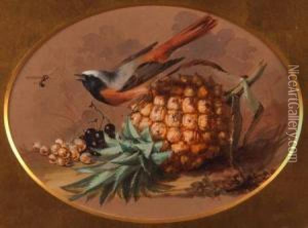 Still Life Study Of Bird, Wasp, Pineapple And Berries On A Bank Oil Painting - William Duffield