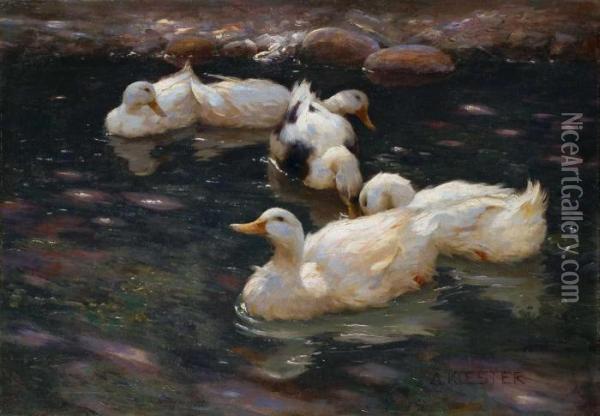 Enten Im Fluss Oil Painting - Alexander Max Koester