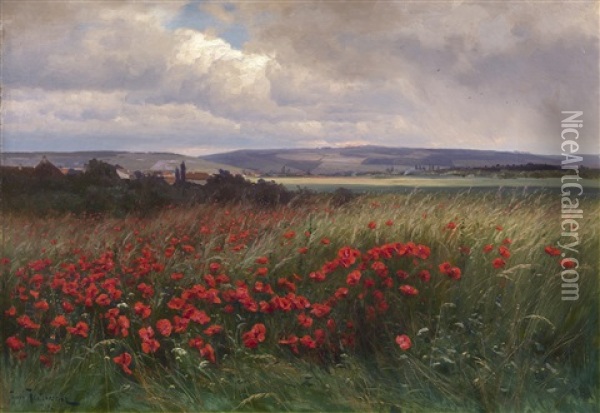 Poppies Oil Painting - Iosif Evstafevich Krachkovsky