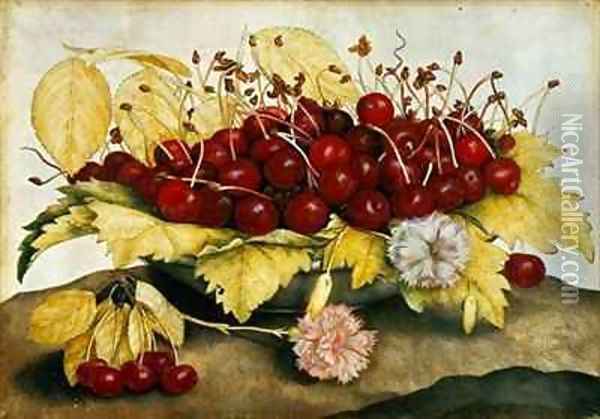 Cherries and Carnations Oil Painting - Giovanna Garzoni