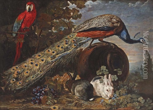 A Peacock On An Overturned Urn, A Parrot In A Tree, Two Rabbits And Bunches Of Grapes In A Garden Oil Painting - David de Coninck