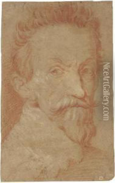 Portrait Of Francesco Andreini Oil Painting - Domenico Fetti