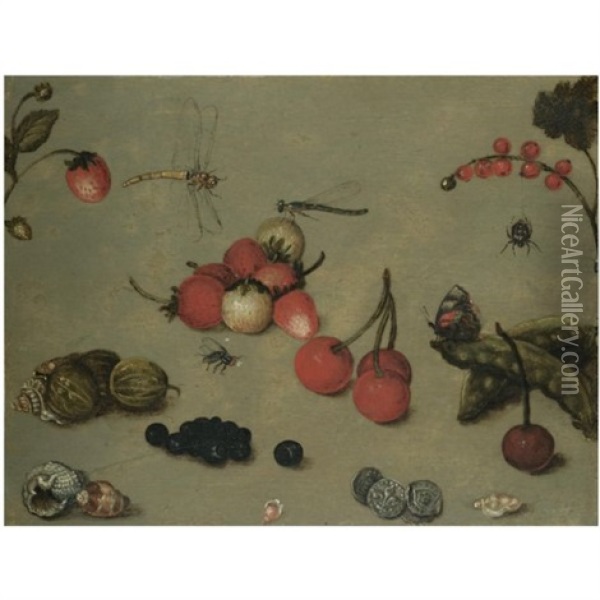A Still Life With Fraises De Bois, Sea-shells, Coins, Cherries, Dragonflies And Other Insects Oil Painting - Georg Flegel