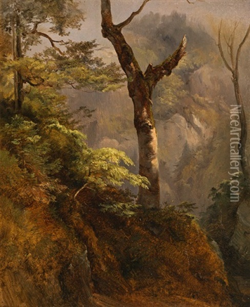 Study Of A Tree Oil Painting - Karl Franz Emanuel Haunold