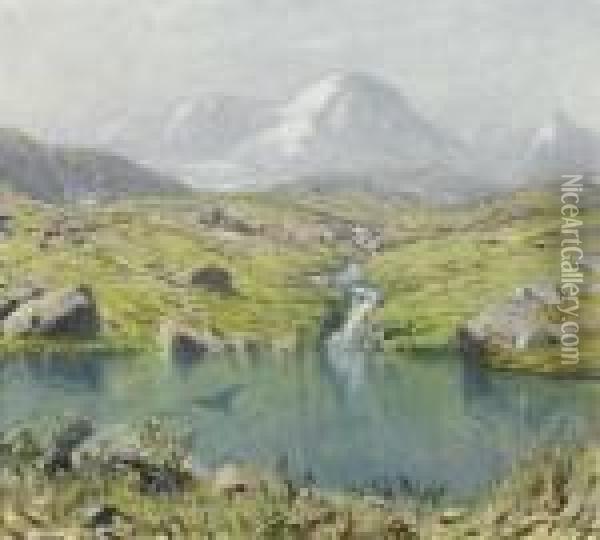 Gebirgssee In Den Alpen. Oil Painting - Albert H. Gos