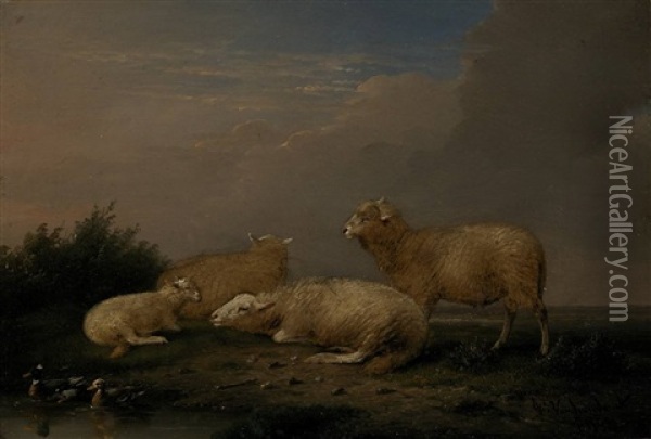 Scene With Three Sheep, A Lamb And Two Ducks Oil Painting - Franz van Severdonck