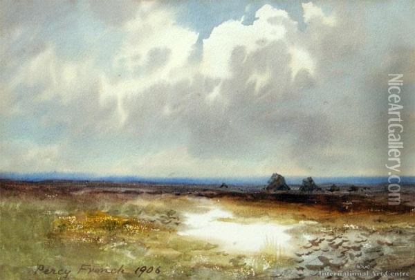 Sunlit Moors Oil Painting - William Percy French