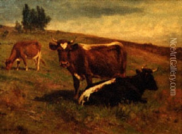 Cattle Resting Oil Painting - Thomas Bigelow Craig