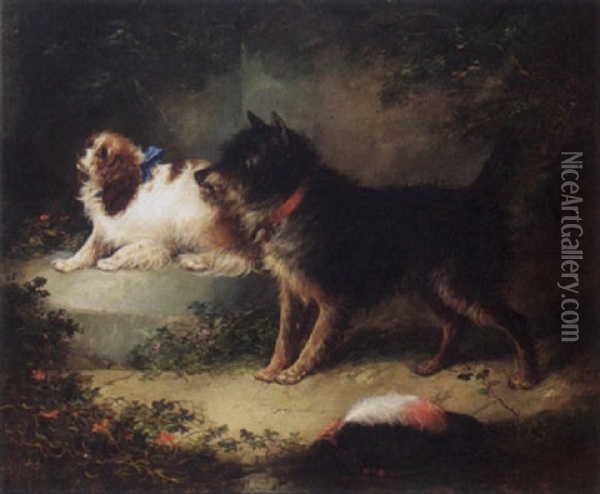 A Spaniel And A Terrier Oil Painting - George Armfield