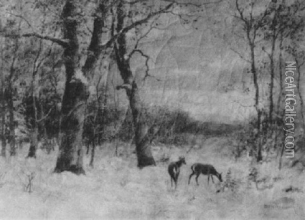 Deer In A Landscape Oil Painting - Daniel F. Wentworth