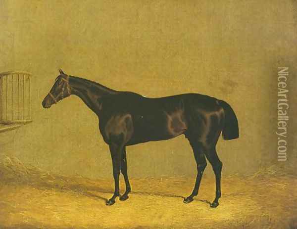 Racehorse Mulatto 1936 Oil Painting - John Frederick Herring Snr