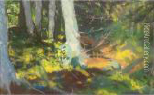 Under The Trees-monhegan Oil Painting - Robert Henri