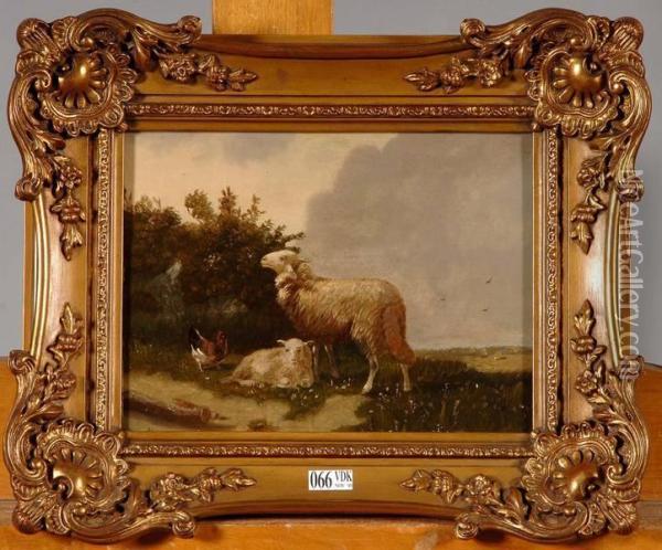 Moutons Et Coq Au Pre Oil Painting - Henri Hendrik Maes /