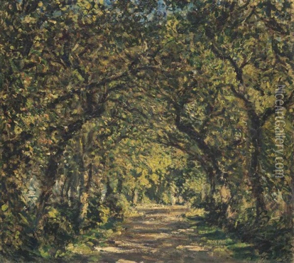 An Oak Avenue, Knaresborough Oil Painting - Philip Wilson Steer