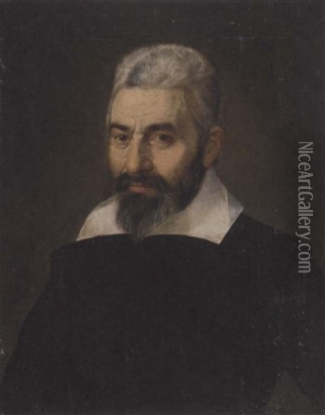 Portrait Of A Gentleman In A Black Doublet Oil Painting - Bartolomeo Passarotti