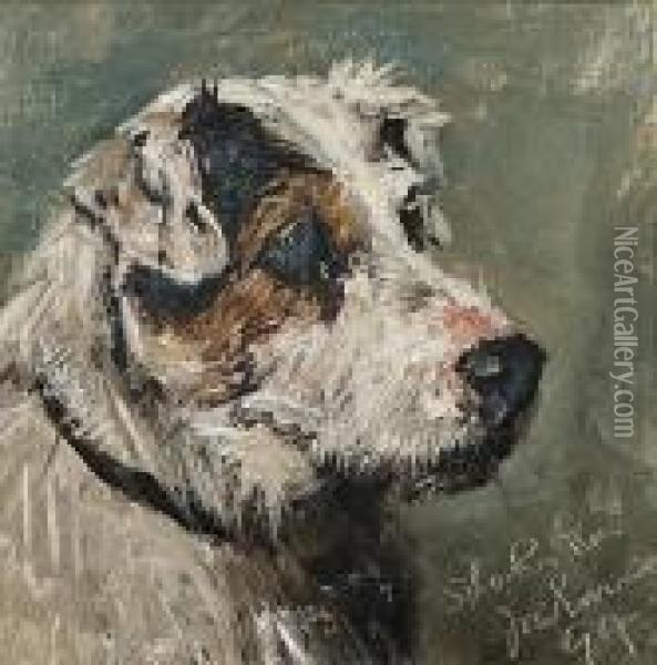 Head Study Of A Terrier Oil Painting - John Emms