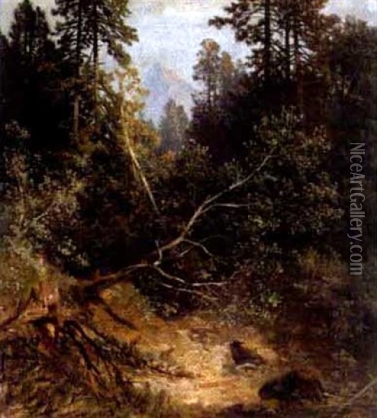 Waldlandschaft Am Hieflau Oil Painting - Carl Hasch