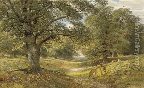 Deer In A Wooded Landscape Oil Painting - Alfred Augustus Glendening Sr.