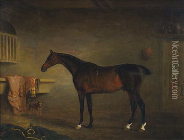 The Bay Easton In His Stable Oil Painting - John E. Ferneley