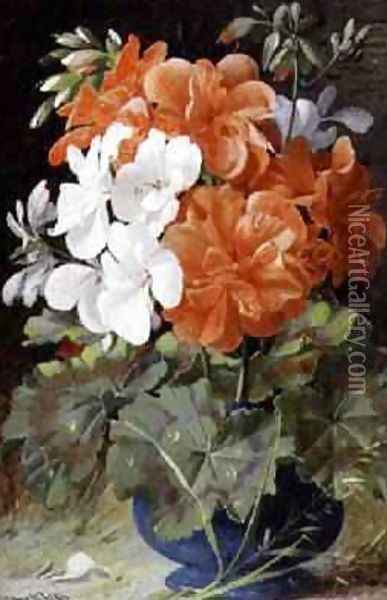 Pelargoniums Oil Painting - William Muckley