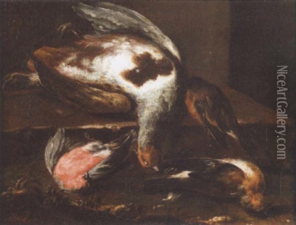 A Dead Partridge, Bullfinch And Other Birds On A Ledge Oil Painting - Louis (Lewis) Hubner