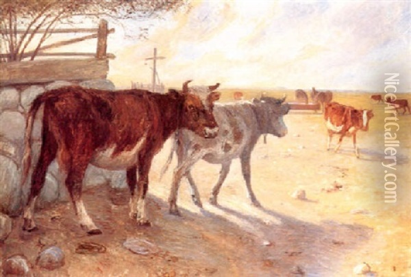 Kalve Ved Vandingsstedet, Saltholm Oil Painting - Theodor Philipsen
