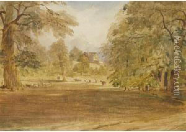 Deer On Diana Hill, Shrubland Park Oil Painting - William James Bennett