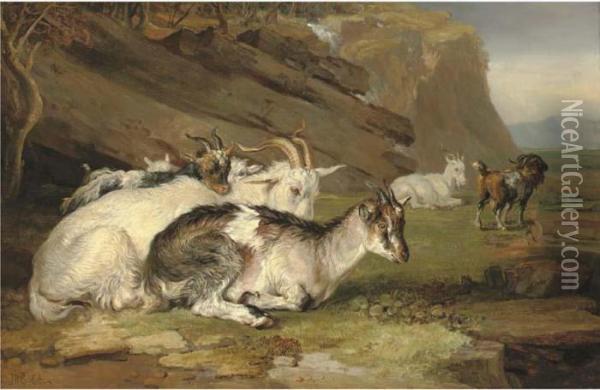 Goats In A Rocky Landscape Oil Painting - James Ward