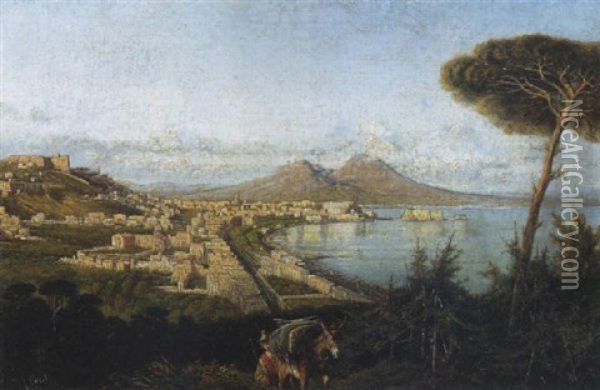 Napoli, Veduta Del Golfo Oil Painting - Consalvo Carelli