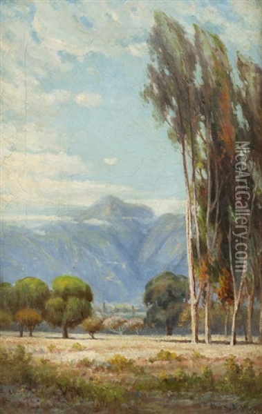 Sycamore Trees With Distant Mountain Range Oil Painting - Charles Albert Rogers