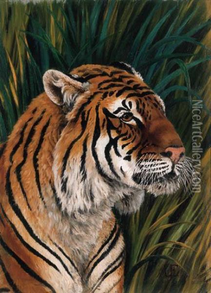 Head Of A Tiger Oil Painting - Urs Eggenschwiler