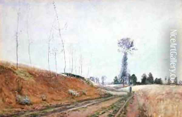 Roadside Pasture in Picardy 1887 Oil Painting - David Murray