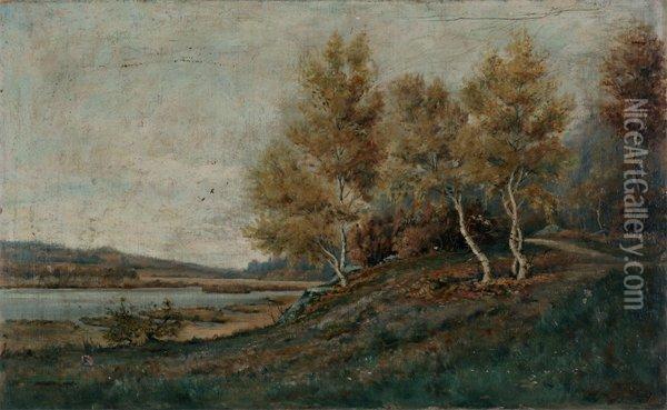 Paysage Lacustre Boise Oil Painting - Peter Alfred Gross