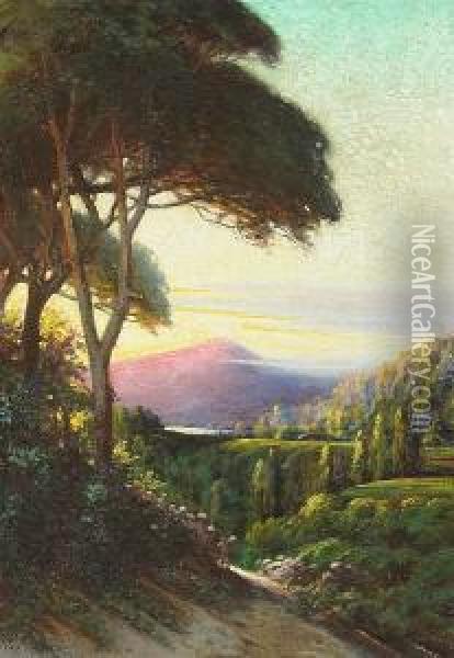 A Marin Landscape Oil Painting - Charles Albert Rogers