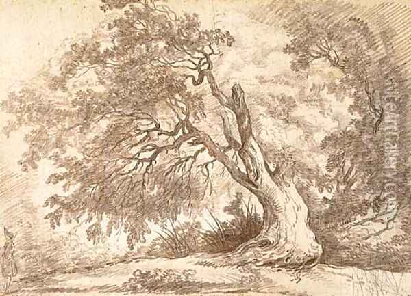 Study of a large tree, a figure in the left foreground Oil Painting - Hubert Robert