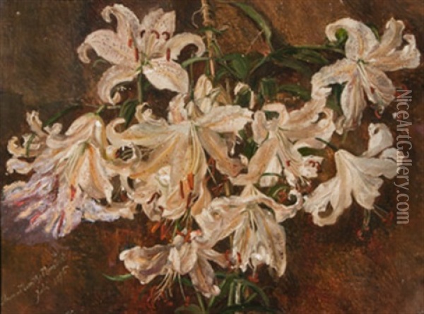 Liljor Oil Painting - Anna Katarina Munthe-Norstedt