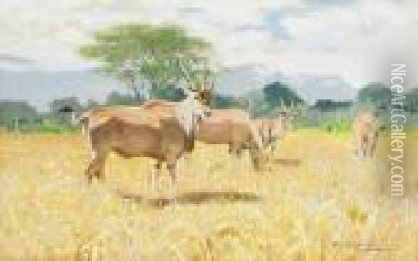 Antilopen Oil Painting - Wilhelm Kuhnert
