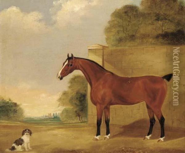 A Brown Racehorse With A Spaniel Oil Painting - John R. Hobart