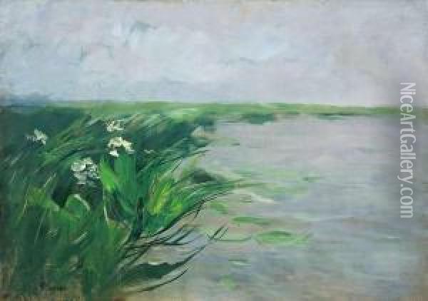 Markische Seenlandschaft Oil Painting - Karl Hagemeister