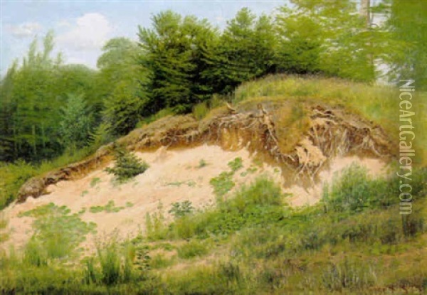 Sandbanke I Skoven Oil Painting - Hans Gabriel Friis