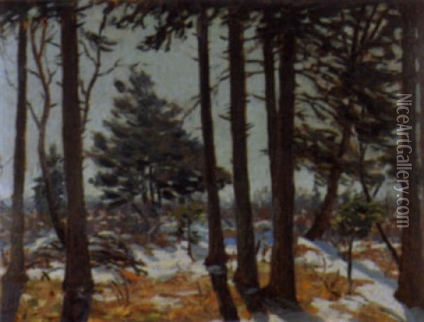 Sonnige Waldlandschaft Im Vorfruhling Oil Painting - Carl Friedrich Felber