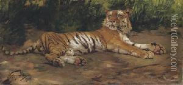 A Reclining Tiger Oil Painting - Geza Vastagh